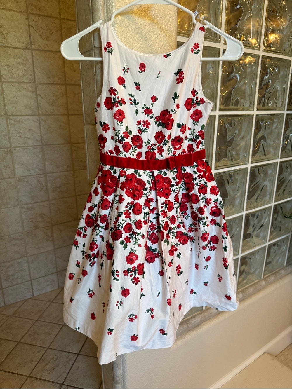 Janie and Jack 7 Falling Rose Floral Sleeveless Holiday Christmas Dress